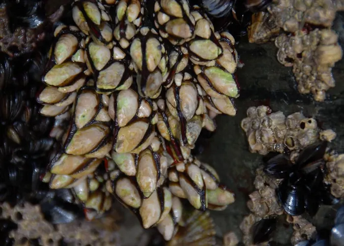 Playa De Catedrales 2*